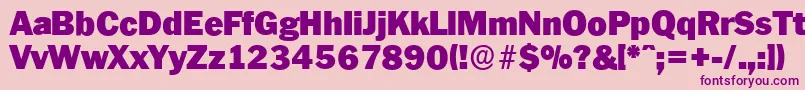 PlymouthserialBlackRegular Font – Purple Fonts on Pink Background