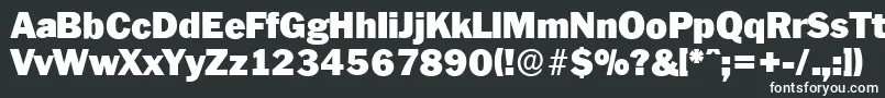 PlymouthserialBlackRegular Font – White Fonts on Black Background