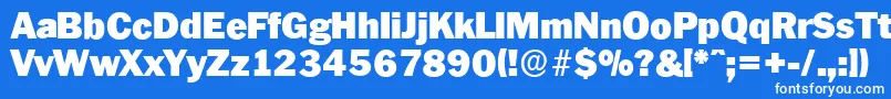 PlymouthserialBlackRegular Font – White Fonts on Blue Background