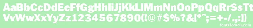 PlymouthserialBlackRegular Font – White Fonts on Green Background