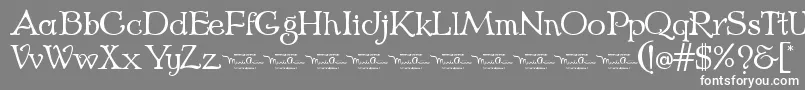 EchedoPersonaluse Font – White Fonts on Gray Background