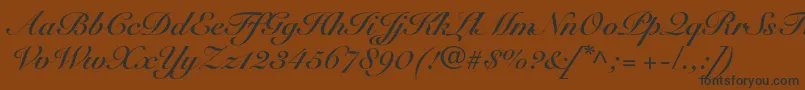 Czcionka SnellroundhandltstdBdscr – czarne czcionki na brązowym tle