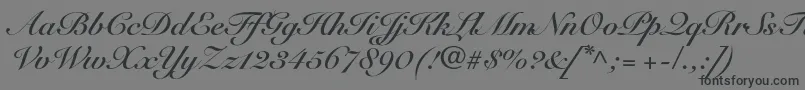 SnellroundhandltstdBdscr-fontti – mustat fontit harmaalla taustalla