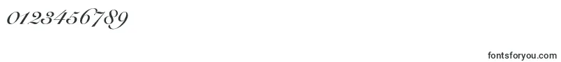Más sobre la fuente SnellroundhandltstdBdscr fuente SnellroundhandltstdBdscr – Fuentes para números
