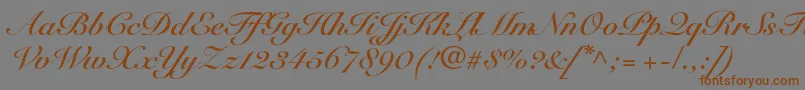 Шрифт SnellroundhandltstdBdscr – коричневые шрифты на сером фоне