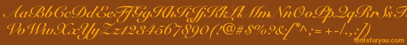 SnellroundhandltstdBdscr-Schriftart – Orangefarbene Schriften auf braunem Hintergrund