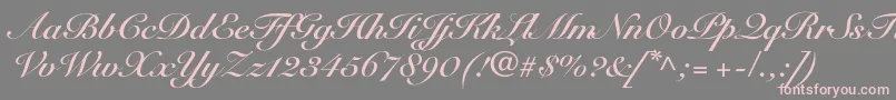 Шрифт SnellroundhandltstdBdscr – розовые шрифты на сером фоне