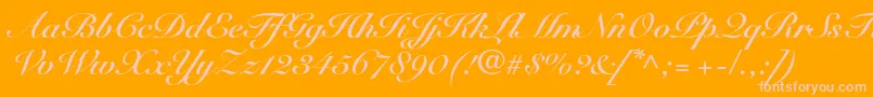Więcej informacji o czcionce SnellroundhandltstdBdscr Czcionka SnellroundhandltstdBdscr – różowe czcionki na pomarańczowym tle
