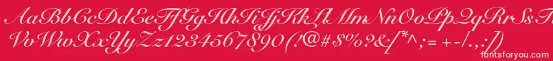 Fonte SnellroundhandltstdBdscr – fontes rosa em um fundo vermelho