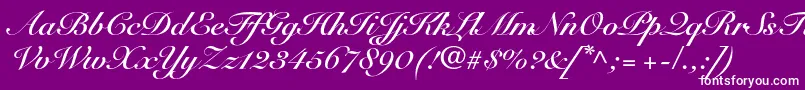 SnellroundhandltstdBdscr Font – White Fonts on Purple Background