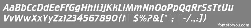 フォントCrilleeItalicPlain – 灰色の背景に白い文字