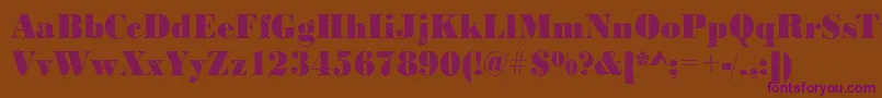 Bodonifalling2Regular-Schriftart – Violette Schriften auf braunem Hintergrund