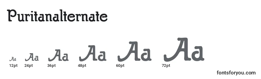 Puritanalternate Font Sizes
