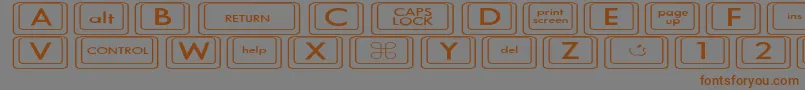 Więcej informacji o czcionce KeyboardKeysexExpanded Czcionka KeyboardKeysexExpanded – brązowe czcionki na szarym tle