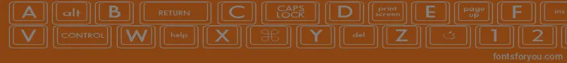 KeyboardKeysexExpanded Font – Gray Fonts on Brown Background