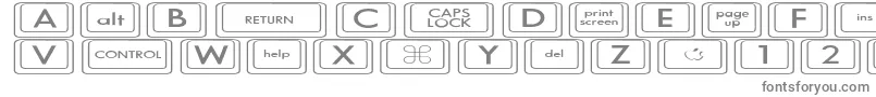 フォントKeyboardKeysexExpanded – 白い背景に灰色の文字