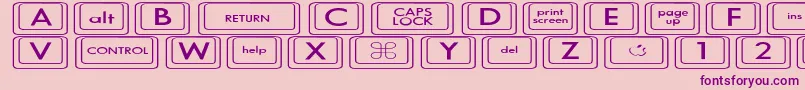 KeyboardKeysexExpanded Font – Purple Fonts on Pink Background