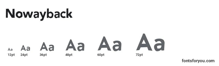 Размеры шрифта Nowayback (91211)
