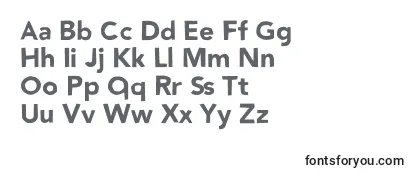 Обзор шрифта Nowayback