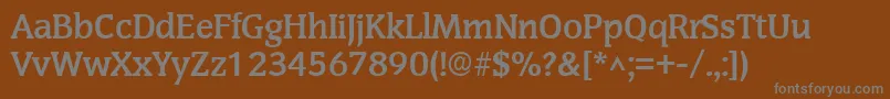 SenateBold Font – Gray Fonts on Brown Background