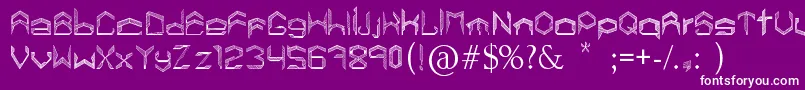 LisboaCalatravaType Font – White Fonts on Purple Background