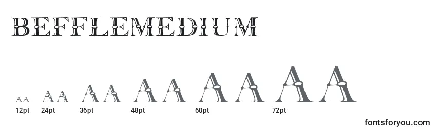 Размеры шрифта Befflemedium