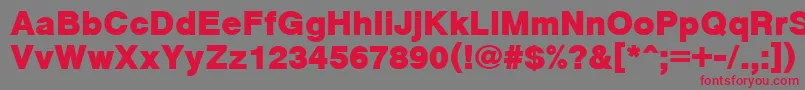 CyrveticaExtraBold Font – Red Fonts on Gray Background