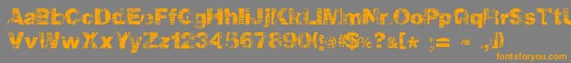 Hollavetica-Schriftart – Orangefarbene Schriften auf grauem Hintergrund