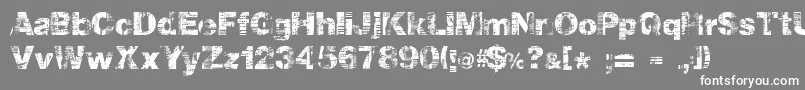 Hollavetica Font – White Fonts on Gray Background