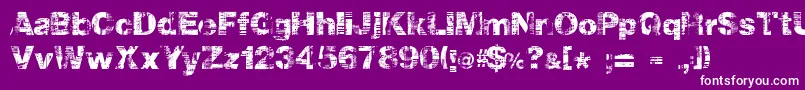 Hollavetica Font – White Fonts on Purple Background