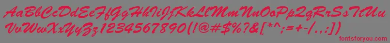 Brushscrdee Font – Red Fonts on Gray Background