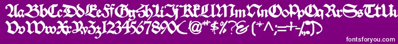 VelascosskBold Font – White Fonts on Purple Background