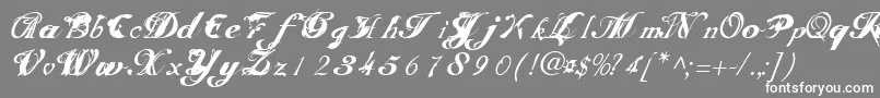 フォントScripteriatoid – 灰色の背景に白い文字