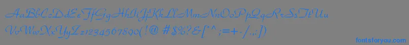 フォントParkavenuestd – 灰色の背景に青い文字