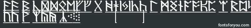 フォントRuneD1 – 黒い背景に白い文字