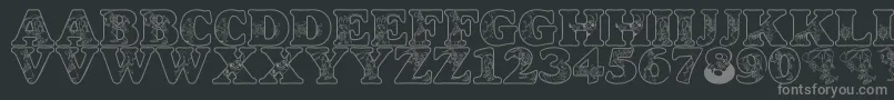 フォントLmsCircusBugs – 黒い背景に灰色の文字