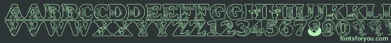 LmsCircusBugs Font – Green Fonts on Black Background