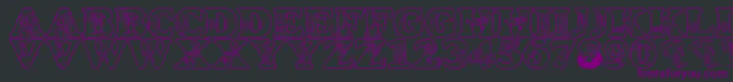 フォントLmsCircusBugs – 黒い背景に紫のフォント
