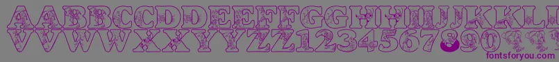 Шрифт LmsCircusBugs – фиолетовые шрифты на сером фоне