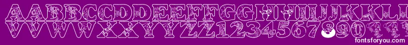 フォントLmsCircusBugs – 紫の背景に白い文字