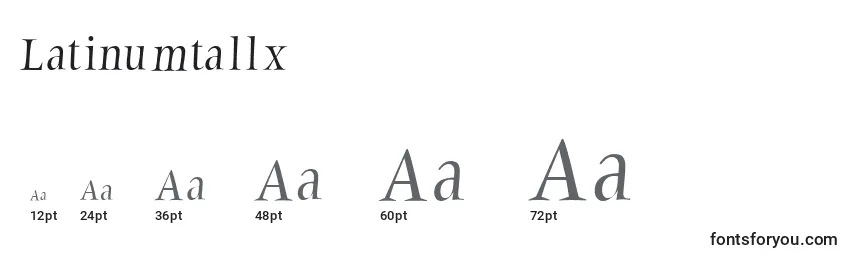 Размеры шрифта Latinumtallx