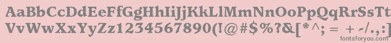 ItcUsherwoodLtBlack Font – Gray Fonts on Pink Background