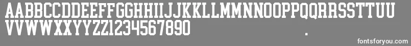 CollegeBlock2.0D-Schriftart – Weiße Schriften auf grauem Hintergrund