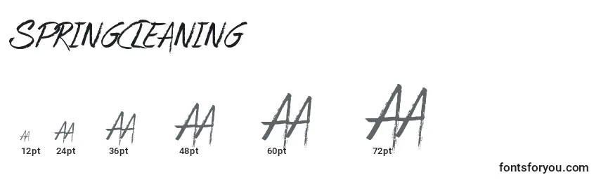 Размеры шрифта SpringCleaning