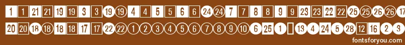 DatasymadbNormal Font – White Fonts on Brown Background