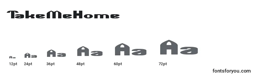 TakeMeHome Font Sizes