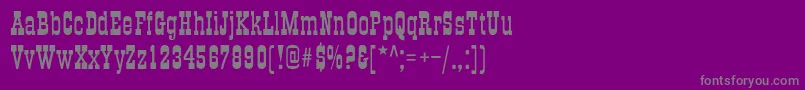 TraktirNormal Font – Gray Fonts on Purple Background
