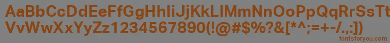 フォントAktivgroteskcorpBold – 茶色の文字が灰色の背景にあります。