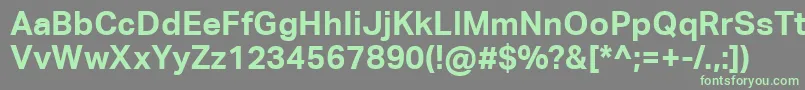 フォントAktivgroteskcorpBold – 灰色の背景に緑のフォント