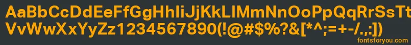 フォントAktivgroteskcorpBold – 黒い背景にオレンジの文字